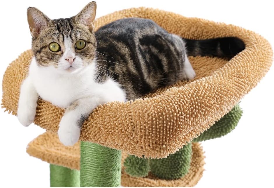 Кактус мачка дрво мачка кула со сисал гребење пост табла за затворен мачки мачки кондо Кити игра куќа