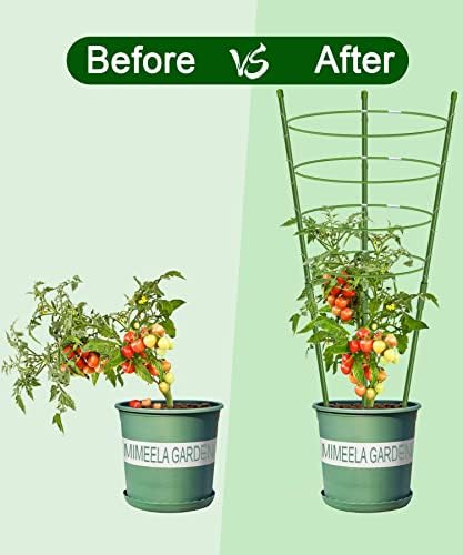 4 пакувања градинарски растенија за поддршка на домати кафез, надградба на 36 Трели за искачување на растенија, комплети за растителни шари