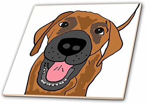 3дроза Смешно Симпатична Лабрадор Ретривер Измешајте Спасувачко Куче За Љубителите На Миленичиња-Плочки