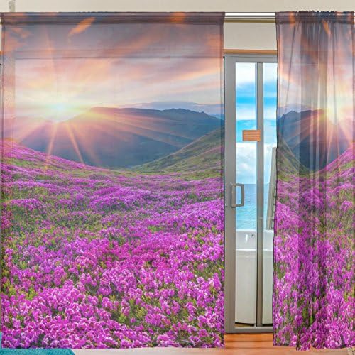 Цветни Изгрејсонце Рододендрон Цвеќиња Полу Проегирни Завеси Прозорец Воил Завеси Панели Третман-55х78ин За Дневна Соба Спална Соба Детска