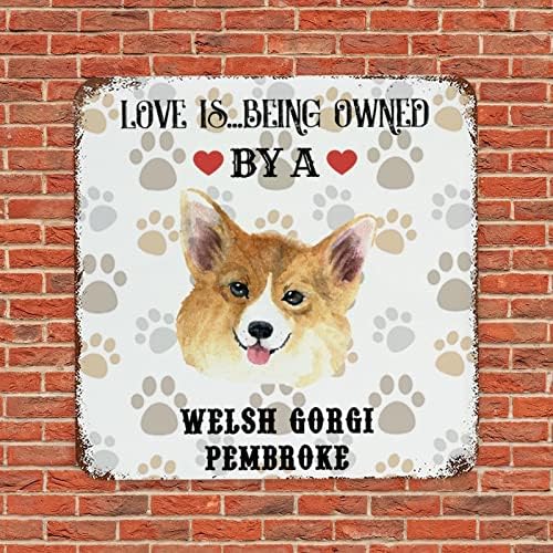 Смешно милениче кучиња метални знаци на плакета Loveубовта е во сопственост на куче гроздобер куче добредојде знак Декоративен паб signиден знак