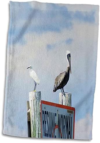 3drose Florene Birds - Egret n Pelican - крпи