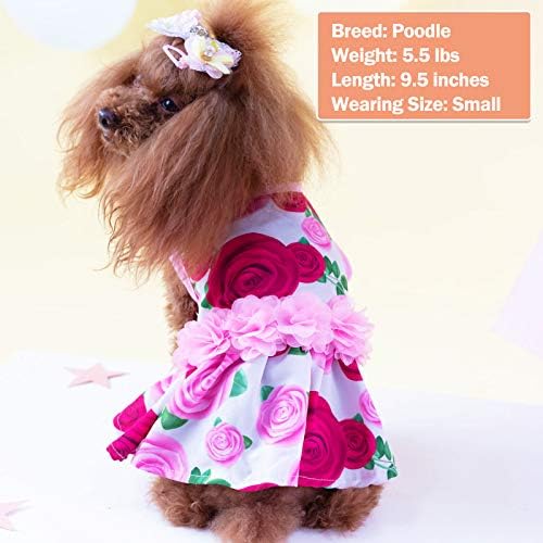 Кучиња на Киес се облекуваат цветна роза со цвеќиња декор елегантна принцеза кучиња фустан за мали кучиња пролетно летно кученце фустан