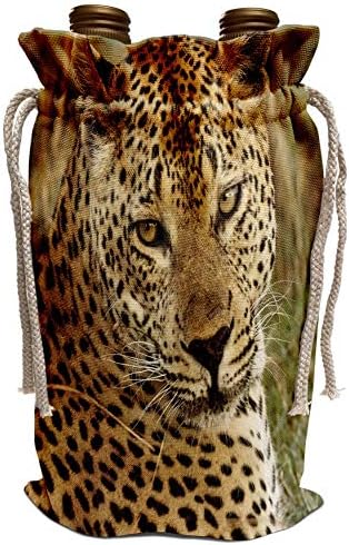 3drose Данита Делимонт - Леопард - Африка, Боцвана, резерва за игри со диви, леопард. - торба за вино