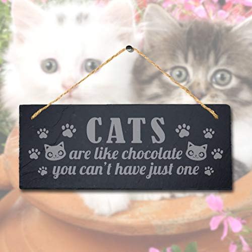 Мачките Се Како Чоколадо Не Можете Ласерски Врежани Виси Чеша Миленичиња Плакета Знак