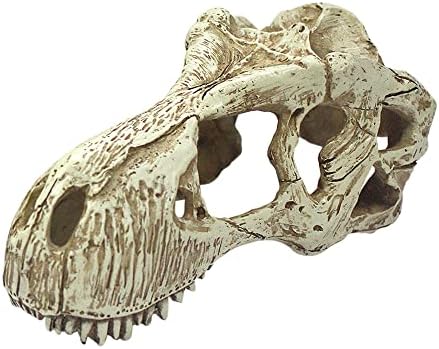 Комодо рептил Терариум реалистички голем украс за украс на черепот за заби | Лесно за чистење под вода за аквариум или додаток за украсување