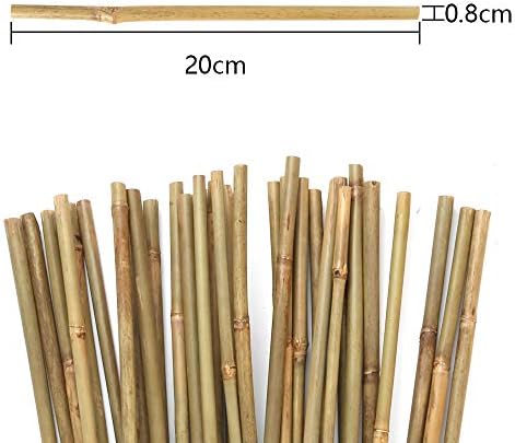PLLIEAY 20 парчиња 8 инчи природни густи бамбус влогови Градински влогови за поддржувачи на растенија за градинарство во затворен простор