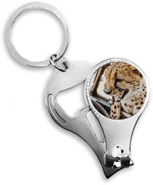 Терестријален Организам Диви Животни Леопард Ноктите Нипер Прстен Клуч Синџир Шише Машинка Машинка