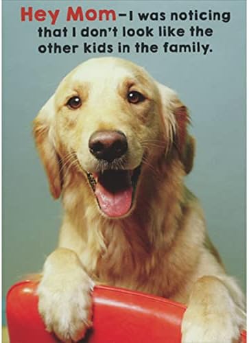 Продавачи Објавување RSVP Златен Ретривер Не Изгледа Како Другите Деца Хумористична / Смешна Картичка За Денот На Мајката Од Куче