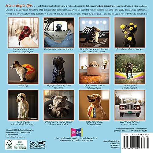 Продавачи Објавување Догма 2022 Мини Календар: Водич За Животот На Кучето