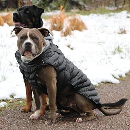 Доги дизајн алпско екстремно временски услови за кучиња со кучиња