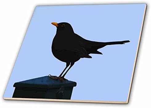 3drose Taiche - Векторска Уметност-Blackbird-Минималистички Црни Птици Вектор Уметност-Плочки
