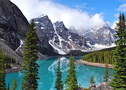 Белеко 7х5фт Ткаенина Планинско Езеро Позадина Банф Национален Парк Морено Езеро Позадина Канадски Карпести Планини Борови Дрвја Шума Природа