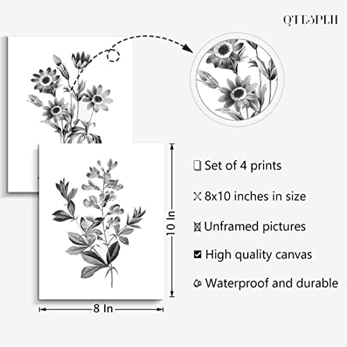 Апстрактна ботаничка wallидна уметност декор, сет од 4 црно -бели билка цвеќиња платно печати слики модерни минималистички уметнички дела