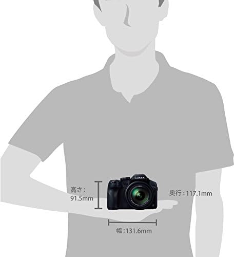 Panasonic Lumix DMC-FZ300K 12.1 Megapixel, 1/2,3-инчен сензор, 4K Video, Splash & Pushyprof Body, Leica DC леќи 24X F2.8 Зум-Меѓународна верзија