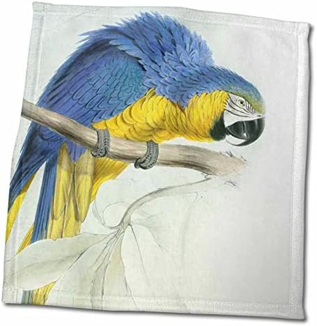 3drose Ана Мари Баг - птици - сина и жолта папагала на гранка - крпи