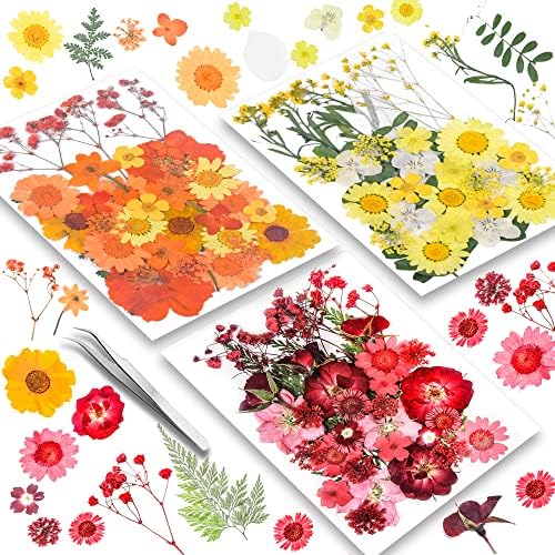 115 парчиња смола исушени цвеќиња, младило, вистински природни суви цвеќиња со пинцети за DIY накит занаетчиски цвеќиња домови од