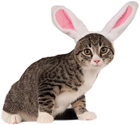 Ушите на Bunny's Bunny за вашето домашно милениче, мало/средно