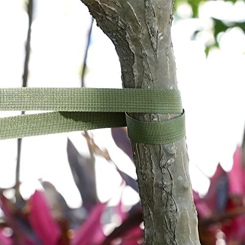 Дрво вратоврска зелена лента градина вратоврска за мрежење лента за градина, градинарска вратоврска поддржува дрво вратоврска
