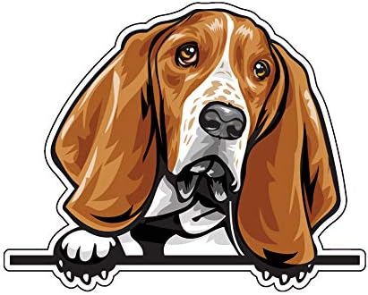 Wickedgoodz Basset Hound vinyl Decal - налепница за браник за раса на кучиња - за лаптопи Tumblers Windows Cars Cages Walls