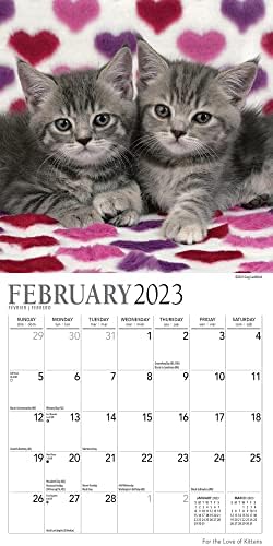 Календар за мачиња 2023 -- Делукс 2023 Слатки Мачиња Мини Календарски Пакет Со Над 100 Налепници За Календар