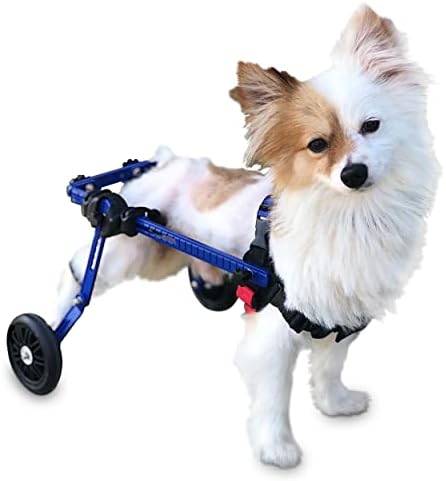 Инвалидска количка за кучиња - XS за мини/раси на играчки 2-10 фунти - Одобрена ветеринар - инвалидска количка за кучиња за задните нозе