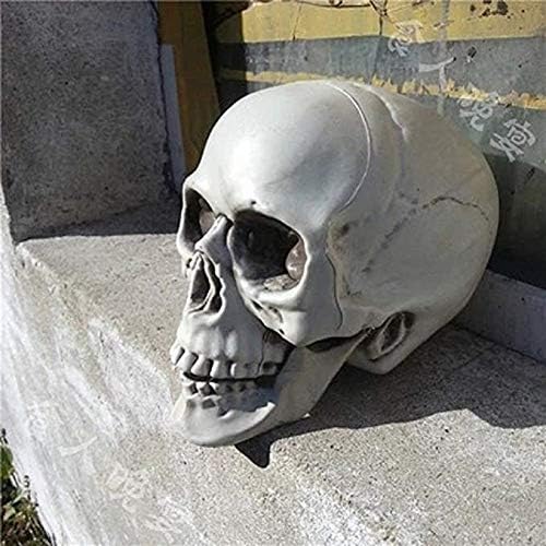Абранте реален изглед тврд пластичен скелет за млечен череп за бар за Ноќта на вештерките и декорација на прогонувана куќа