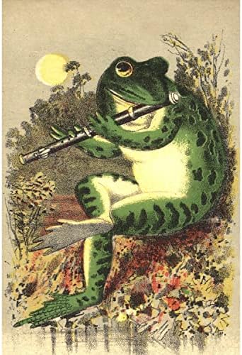 Форланд жаба Дијамант за сликарство за почетници за возрасни - 5D DIY Смешна целосна вежба Дијамант Дотц Китс Сликарство занаети за украси