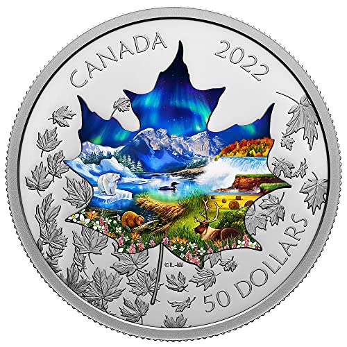 2022 Де Модерен Комеморативен Пауеркоин Канадски Колаж 3 Мл Сребрена Монета 50$ Канада 2022 Доказ