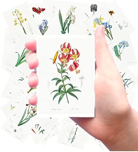 Големи налепници 24 парчиња Ирис Лилис Гроздобер ботанични книги Илустрации од Редоте Флон Ефемера за занаетчиство и маснотии за занаетчиство