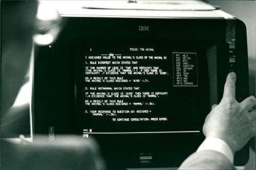 Гроздобер фотографија на F246; Retag: IBM