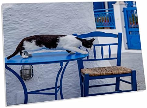 3drose скитници мачки на островот Санторини, Грција внатре - Мати за подлога на бирото