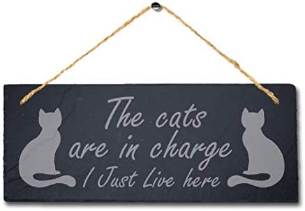 Мачките Се Одговорни Јас Живеам Овде Ласерски Врежан Висечки Чеша Пет Плакета Знак