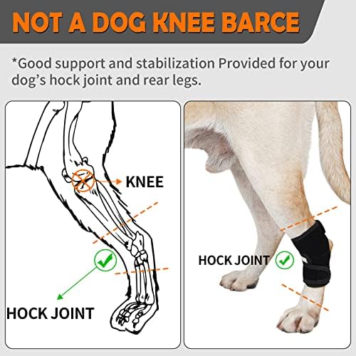Јахроби кучиња залепни загради, поддршка за задната нога на кучиња за артрити, кучешка компресија на задните нозе за стари кучиња, ракав
