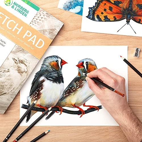 PAD Norberg & Linden Sketch Pad 2 Пакет - 9x12 Премиум хартија во тешка категорија за уметнички дела - Идеална текстура за суви медиуми