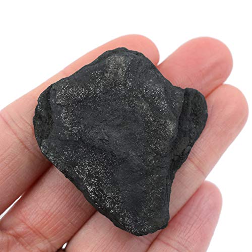 Суров антрацит јаглен, примерок од метаморфна карпа - приближно. 1 - Избран геолог и рачно обработено - одлично за научни училници - лаборатории