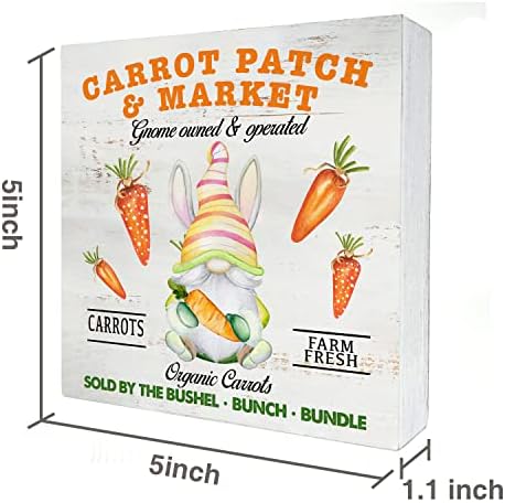 Gnome морков лепенки од дрво кутија знак дома декор рустикален пролет велигденски зајаче дрвена кутија знак блок плакета за wallидни