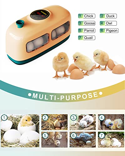 8 Инкубатор За Јајца, инкубадора де хуевос За Пилешко Со Лед Свеќник, Контрола И Прикажување На Влажноста на Температурата, Инкубатори За