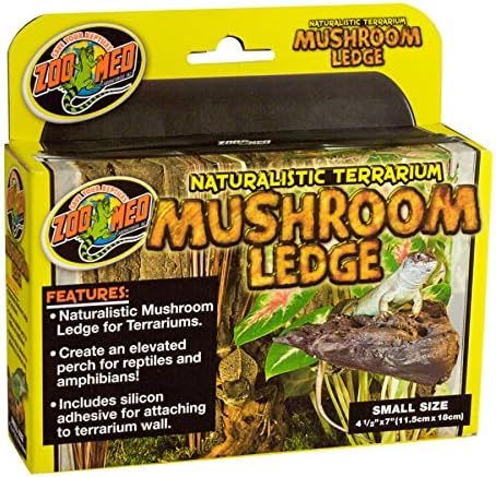 Зоолошката градина Мед натуралистичка териумска печурка за печурки Мал - пакет од 3