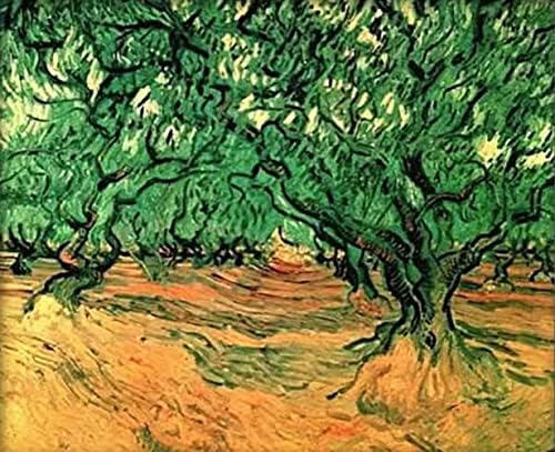 Lxtong маслиново дрво дијамантски комплет за сликање 5д целосна тркалезна дијамантска сликарство според броеви ван Гог маслиново