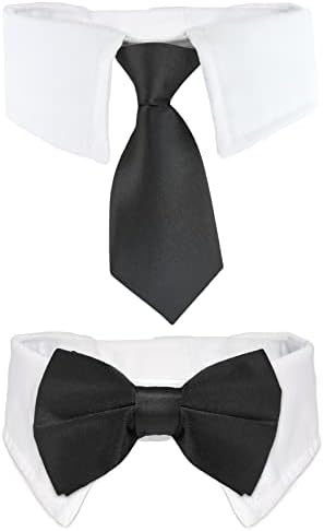 Врски за миленичиња, рачно изработена бела јака од Koolmox со црна вратоврска и лак за домашно милениче, вратоврска за мачки за кучиња