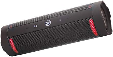 SoundStream Picasso - Преносен Bluetooth звучник со водоотпорен IPX7 & TWS врска +