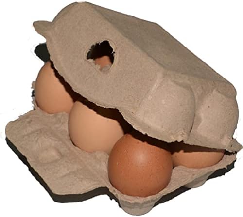 Среќнајами 20 парчиња картони со јајца од јајца држач за јајца 6 брои јајца чувар јајце сад за семејна фарма за кампување за кампување