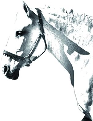 Уметност Куче Оод. Шпански Норман, Овален Надгробен Споменик Од Керамичка Плочка со Слика На Коњ