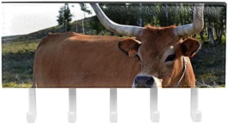 Организатор на решетката од животински крави кафени говеда со 5 куки wallидни кујнски полици за кујни решетката Мултифункционална полица за складирање