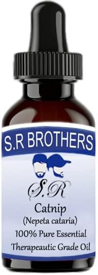 S.R браќа Catnip чисто и природно есенцијално масло од одделение со капка 100мл