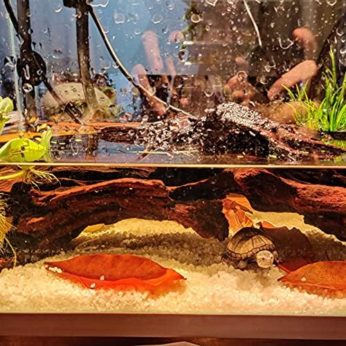 Катсон Голем природен аквариум Дрифтвуд рептили гранки Терариум украс тон што може да се топише дрво декор багажник риба резервоар