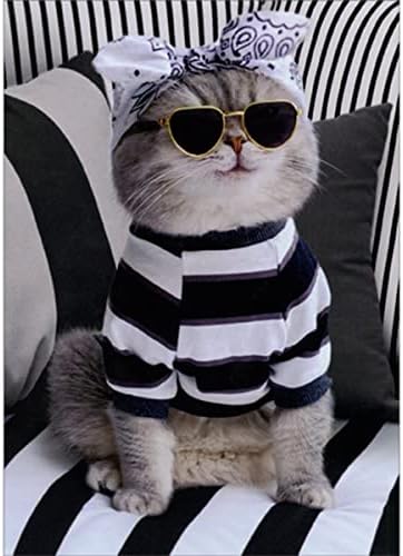 Аванти Прес Мачка облечена во бандана, нијанси и шарен џемпер на шарена кауч Смешна/хумористична женска роденденска картичка за нејзината/жена