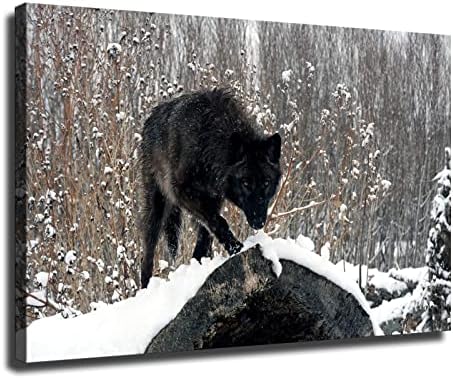 Fестокиот црн волк во снегот е зјапајќи во вас постер и wallидна уметност, печати модерен постер за декор за домашна спална соба