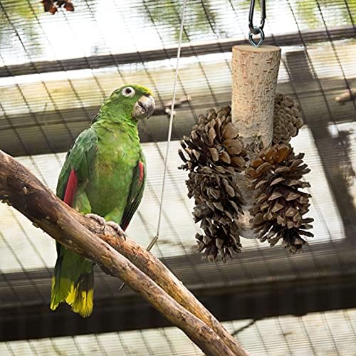 Катсон птици џвакани играчки Природни бор конуси кои висат фуражни играчки папагали со кинење играчки за падобрани кокатиел конур африкански